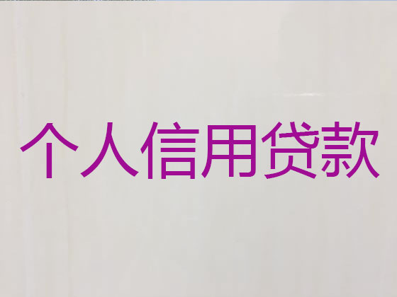 阜宁县贷款公司-银行信用贷款